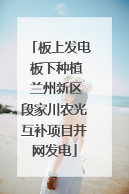 板上发电 板下种植 兰州新区段家川农光互补项目并网发电